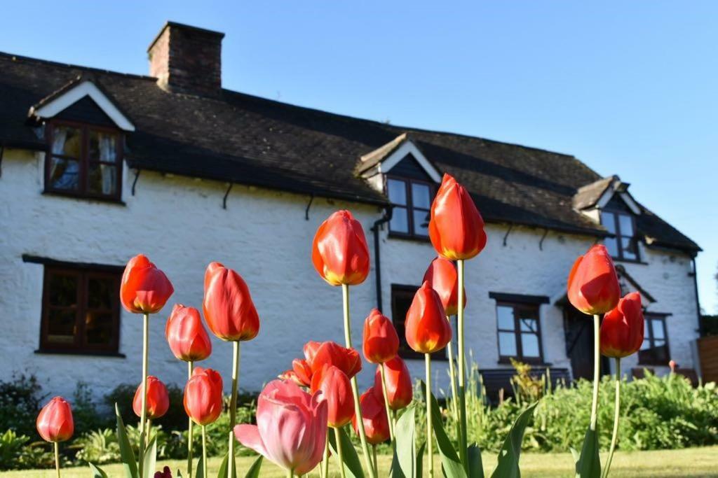 Glencoed B&B Wrexham Exterior foto